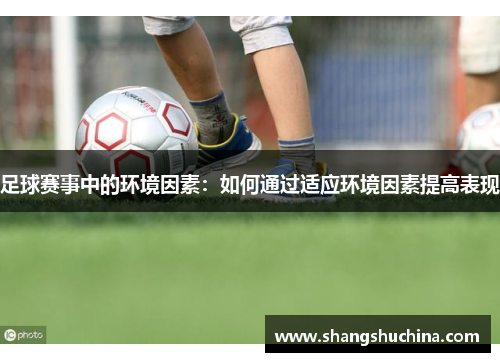 足球赛事中的环境因素：如何通过适应环境因素提高表现
