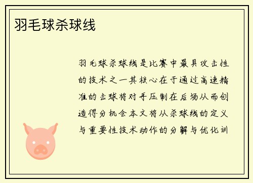 羽毛球杀球线