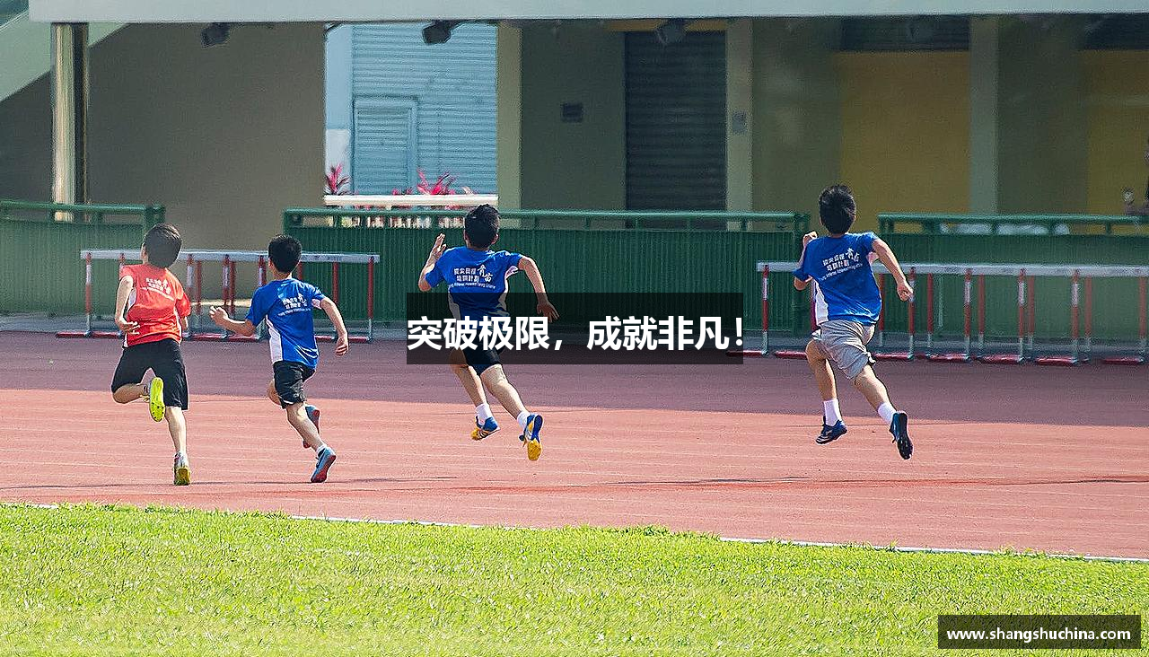 突破极限，成就非凡！